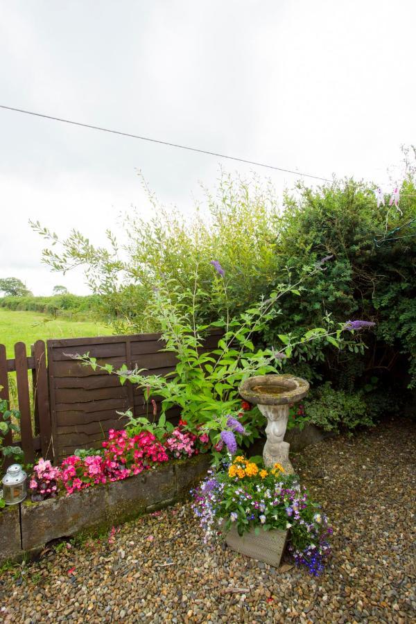 Goitre Bach Cottage Aberaeron Luaran gambar